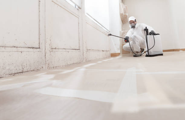 24/7 Emergency Mold Removal experts in Temperanceville, VA