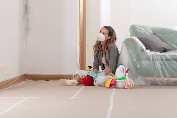 Reliable Mold Removal contractor in Temperanceville, VA by WQB Mold Removal